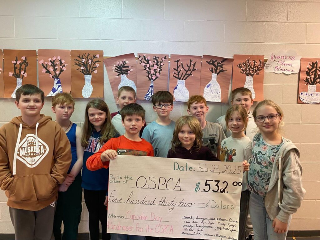 Muskoka Falls Public School students raise money for the Ontario SPCA Muskoka Animal Centre